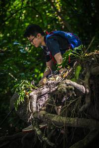 BIB: 
                            <button type="button" onclick="openModal(7034020)" class="btn btn-primary btn-sm float-right btn-popup" data-toggle="modal" data-target=".modal-high-quality">
                        <i class="fas fa-shopping-cart"></i> Add to Cart
                    </button>
                                            <button type="button" onclick="isThisMe(7034020, true)" class="btn btn-success btn-sm float-right btn-popup btn-isme hidden" data-toggle="tooltip" data-placement="bottom" title="นี่คือรูปของคุณใช่ไหม คลิกที่นี่เพื่อเอาเข้าอัลบั้ม">
                        <i class="fas fa-plus"></i> Add to album
                    </button>
                    <button type="button" onclick="isThisMe(7034020, false)" class="btn btn-warning btn-sm float-right btn-popup btn-isnotme hidden">
                        <i class="fas fa-ban"></i> Remove from album
                    </button>